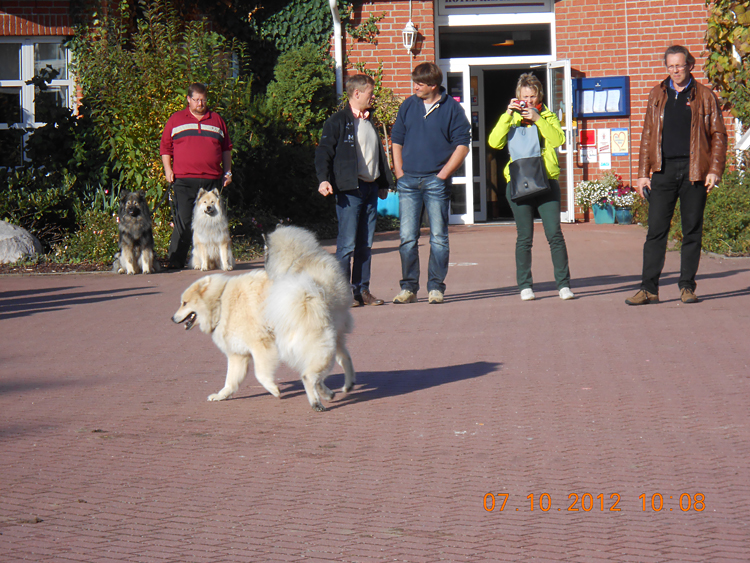 0058 um gemeinsam Graal-Mueritz zu fahren.JPG